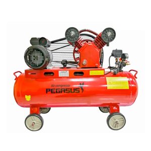 Máy nén khí Pegasus 02
