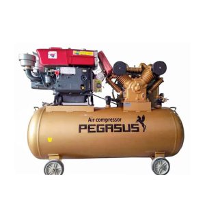 Máy nén khí Pegasus 03