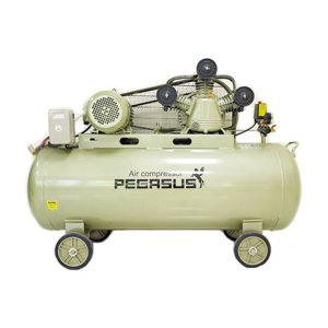 Máy nén khí Pegasus 05
